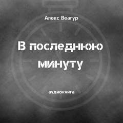 В последнюю минуту - Алекс Веагур Слушать аудио книги онлайн без регистрации полностью бесплатно - knigavkarmane.net